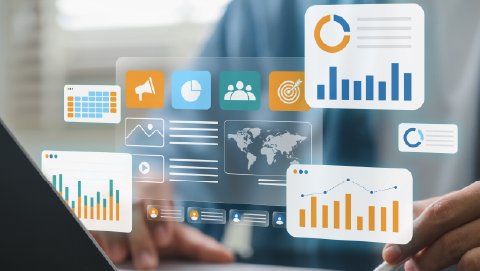 MSc Brand and marketing management